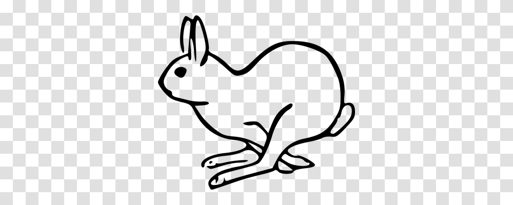 Bunny Animals, Gray, World Of Warcraft Transparent Png