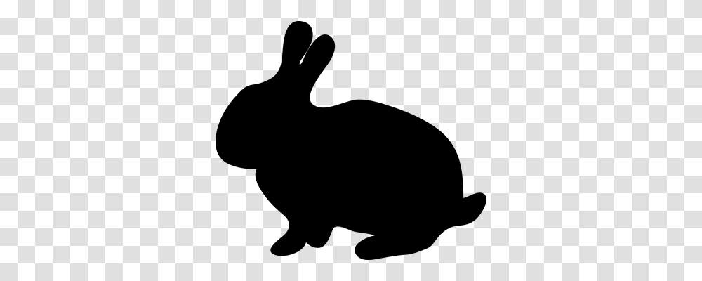 Bunny Nature, Gray, World Of Warcraft Transparent Png