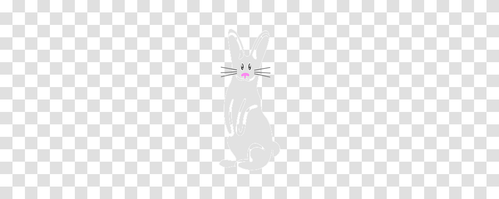 Bunny Holiday, Cat, Pet, Mammal Transparent Png