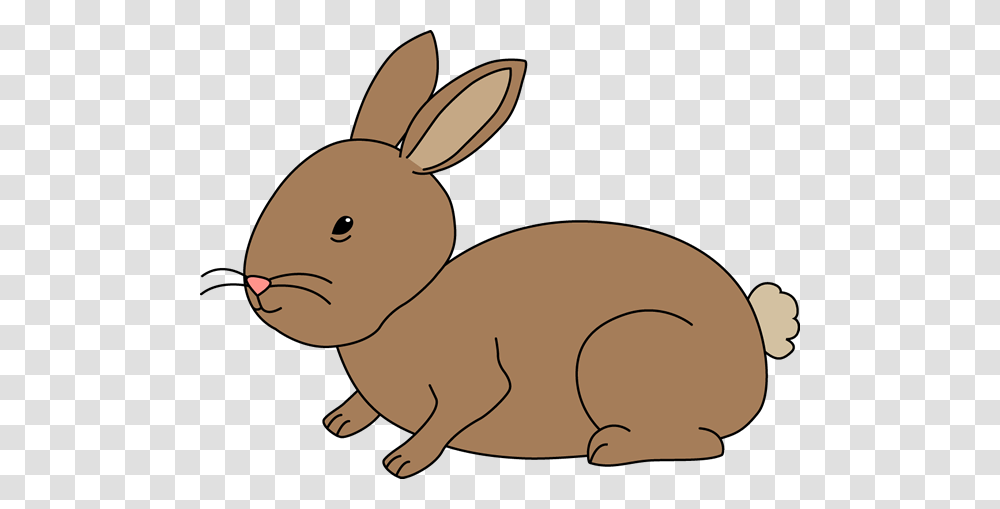 Bunny Clip Art, Hare, Rodent, Mammal, Animal Transparent Png