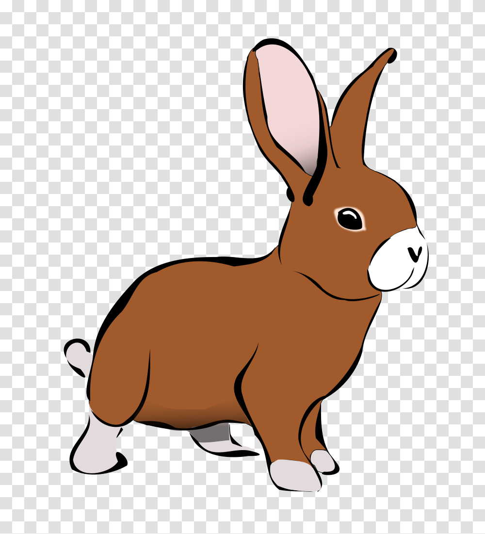 Bunny Clipart Animal, Mammal, Rodent, Rabbit, Pet Transparent Png