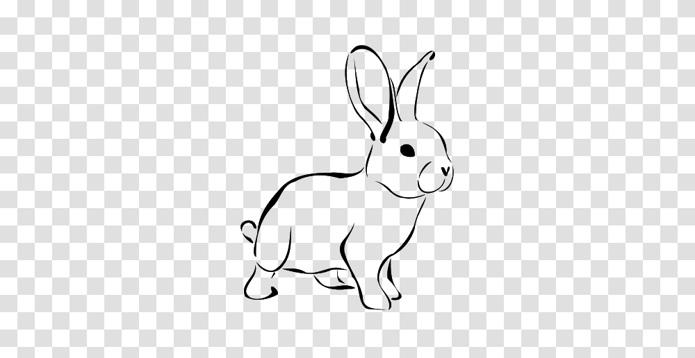 Bunny Decor Rabbit, Rodent, Mammal, Animal, Hare Transparent Png