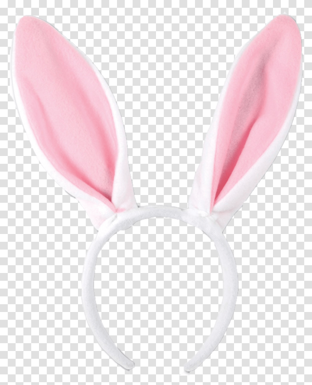 Bunny Ears Background Background Bunny Ears, Home Decor, Petal, Flower, Plant Transparent Png
