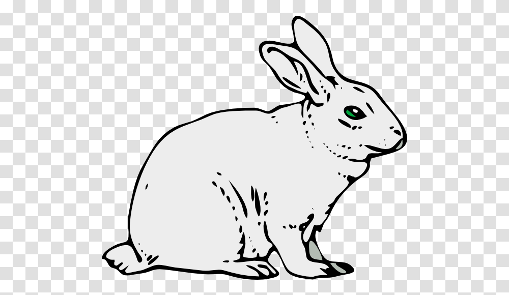 Bunny Rabbit Clip Art Rabbit Black And White Clipart, Mammal, Animal, Rodent, Hare Transparent Png