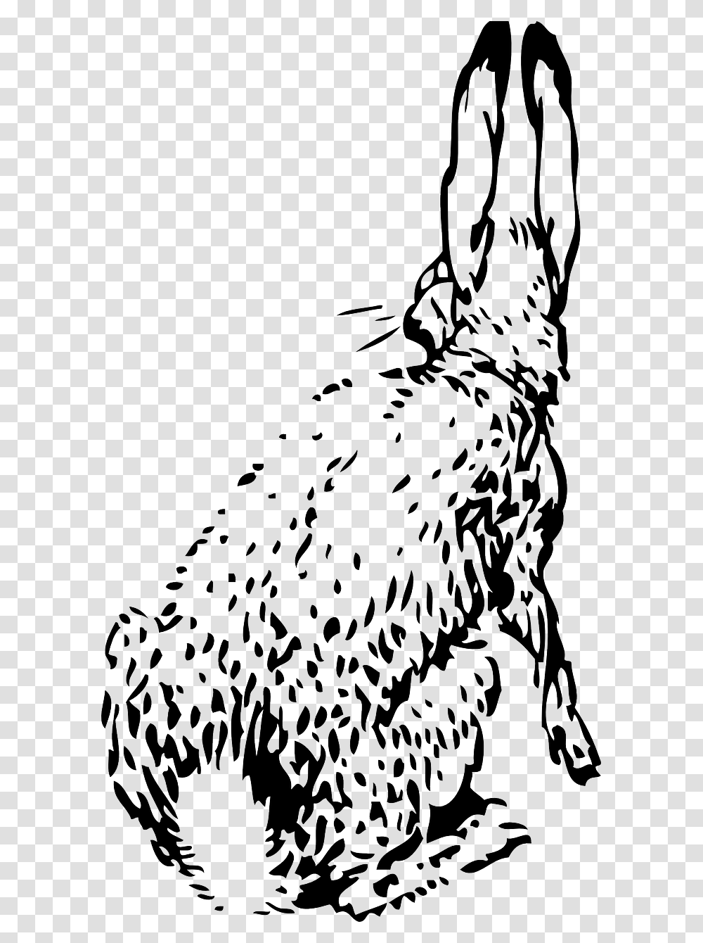 Bunny Rabbit From Behind, Stencil, Mammal, Animal, Drawing Transparent Png