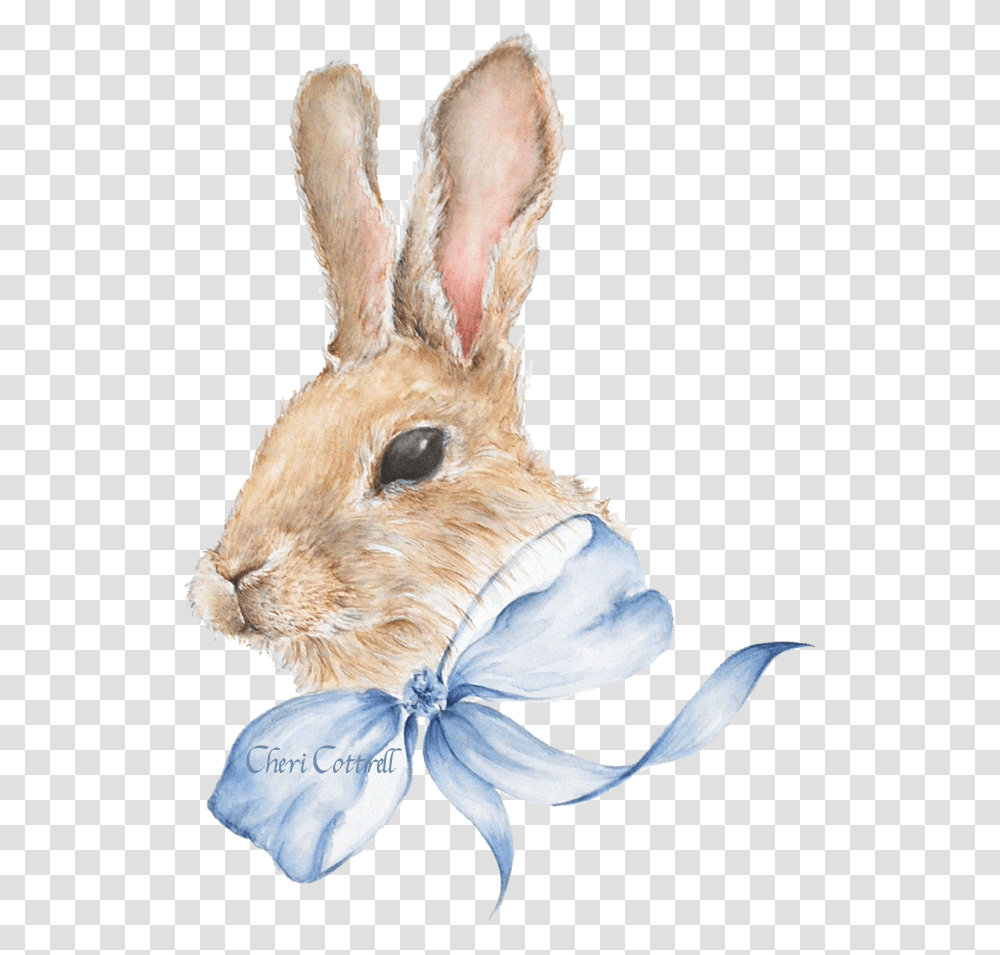 Bunny Rabbit Watercolour Download Bunny Background Watercolour, Rodent, Mammal, Animal, Hare Transparent Png
