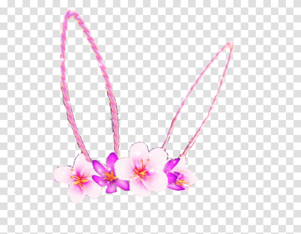 Bunnyrabbit Bunny Bunnyears Snapchat Snapchatfilter Moth Orchid, Plant, Flower, Blossom, Petal Transparent Png