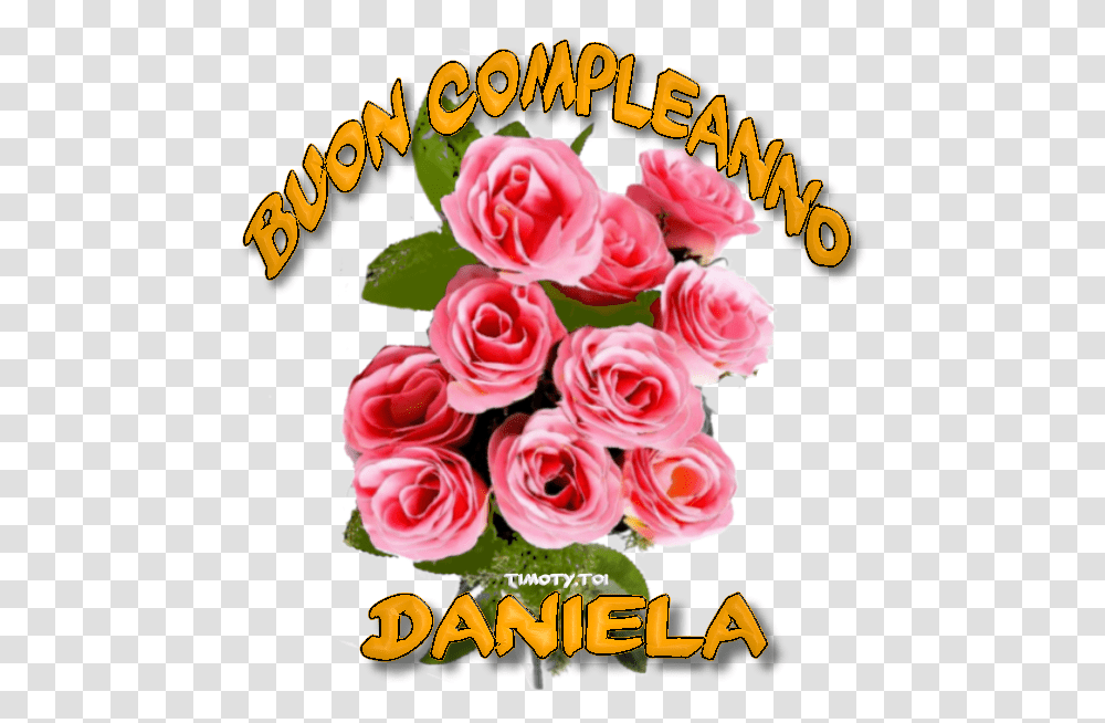 Buon Compleanno Daniela, Plant, Flower, Blossom Transparent Png