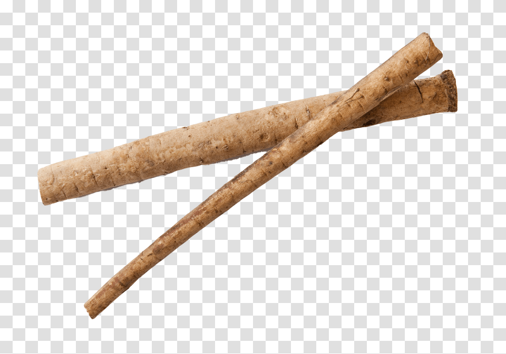 Burdock Root Image, Vegetable, Plant, Wand, Axe Transparent Png