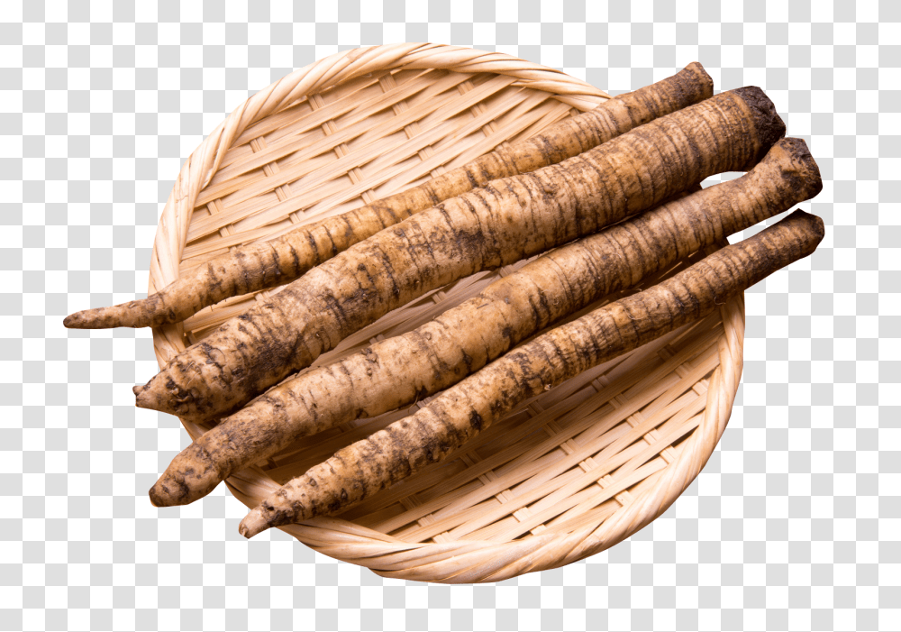 Burdock Root In Bowl Image, Vegetable, Basket, Plant, Woven Transparent Png