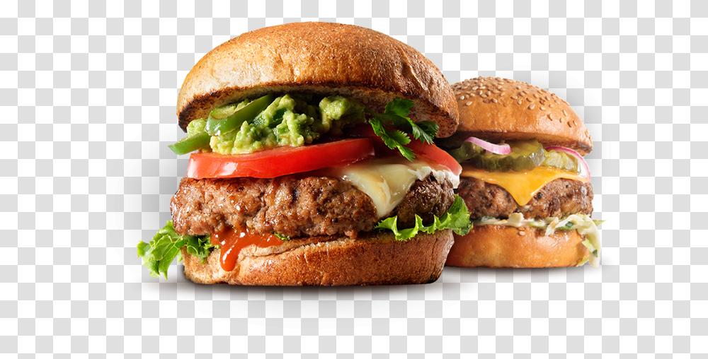 Burger Turkey Burger And Fries, Food, Lunch, Meal Transparent Png