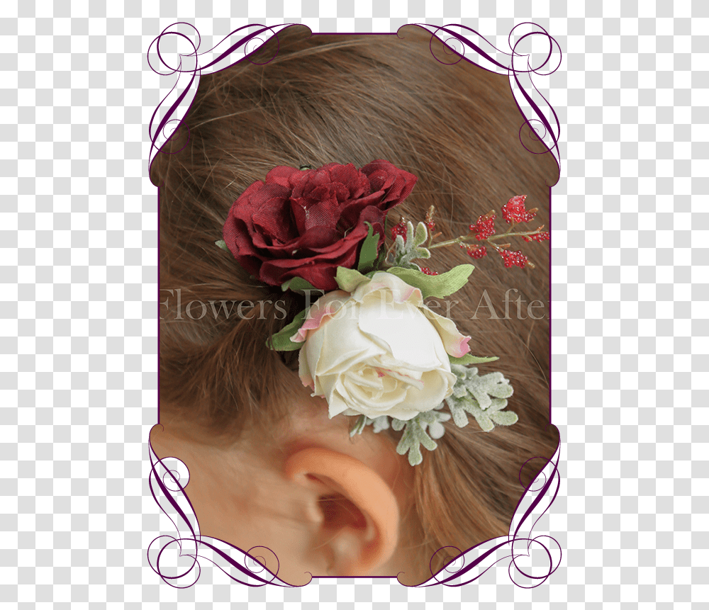 Burgundy Flower Garden Roses, Plant, Person, Flower Bouquet, Flower Arrangement Transparent Png