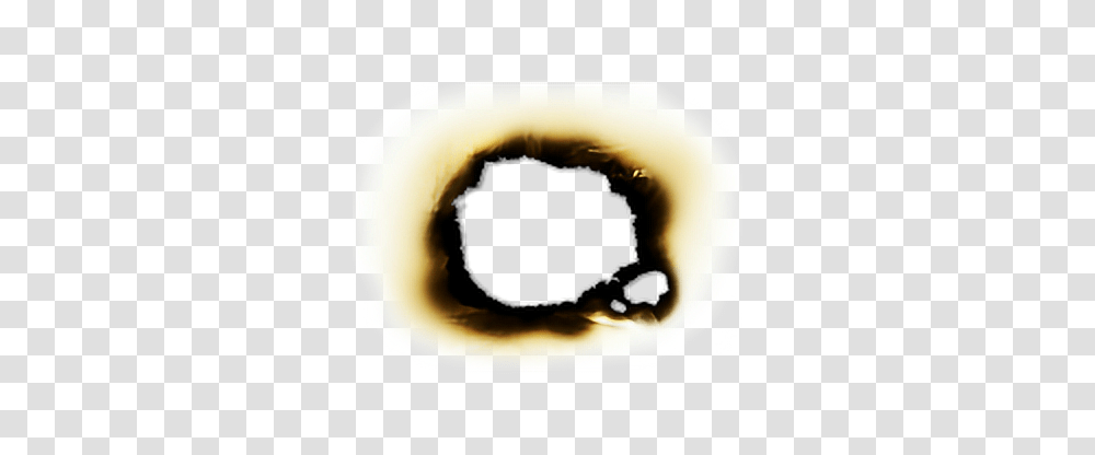 Burned Paper, Cat, Food, Dish, Meal Transparent Png