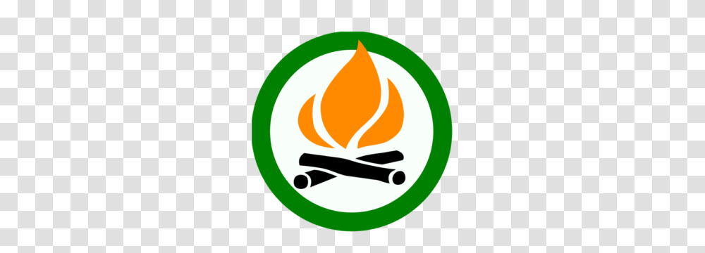 Burning Information North Mason Regional Fire Authority, Flame, Logo Transparent Png