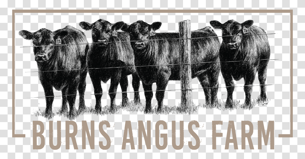 Burns Angus Farm Logo Cow Fabric Quilt Panel, Cattle, Mammal, Animal, Bull Transparent Png