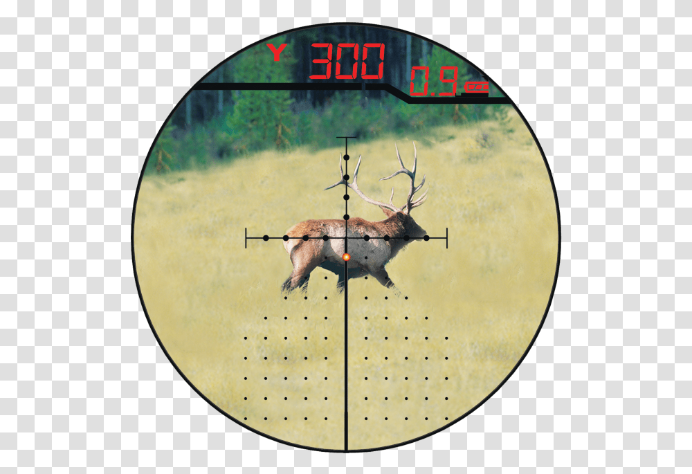 Burris Eliminator, Mammal, Animal, Elk, Deer Transparent Png