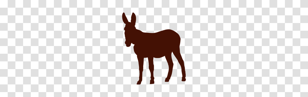 Burro Graphics To Download, Mammal, Animal, Horse, Rodent Transparent Png