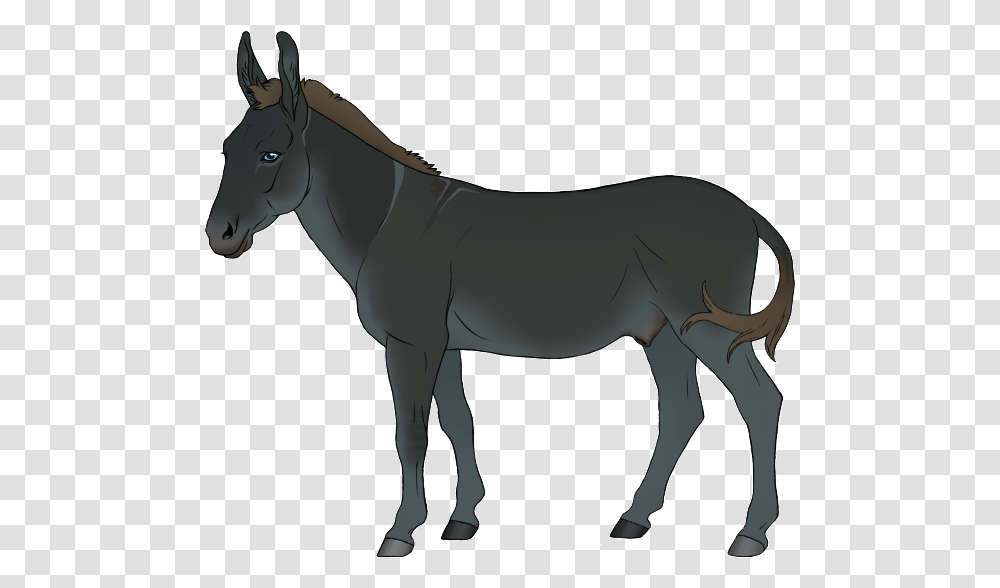 Burro, Horse, Mammal, Animal, Donkey Transparent Png