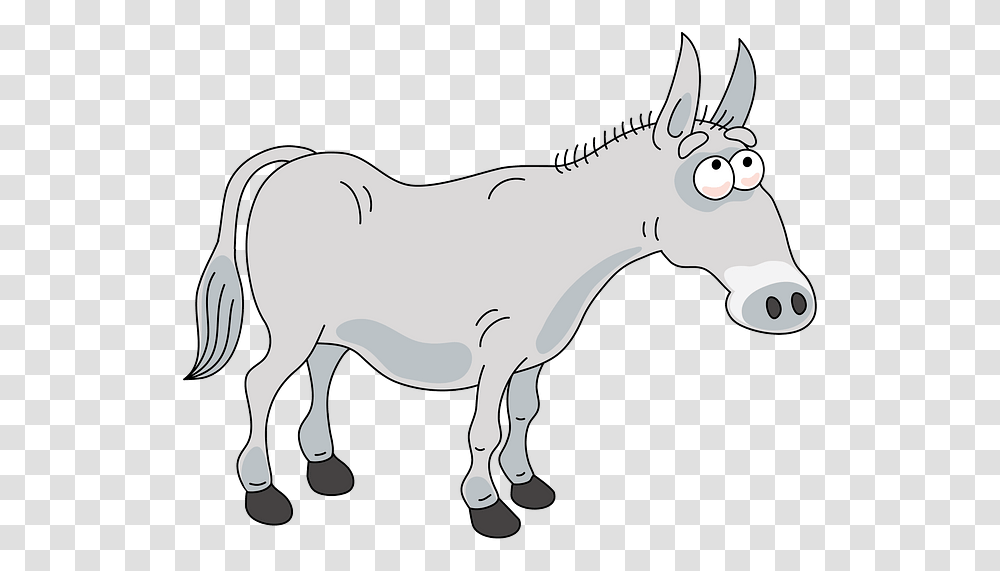 Burro, Mammal, Animal, Donkey, Horse Transparent Png