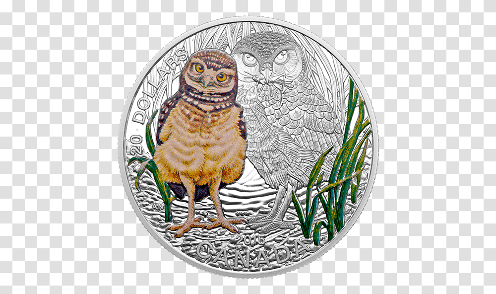 Burrowing Owl Coin, Chicken, Poultry, Fowl, Bird Transparent Png