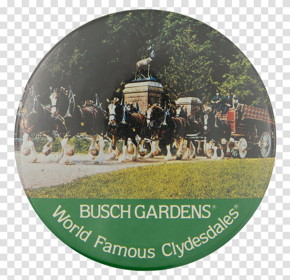 Busch Gardens World Famous Clydesdales Horse Supplies, Mammal, Animal, Disk, Dvd Transparent Png