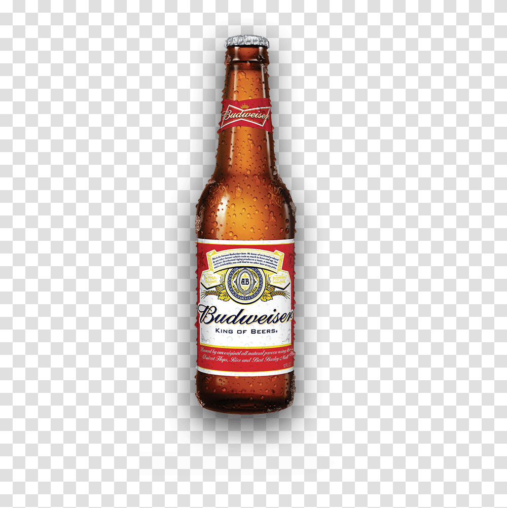 Busch Light Beer Bottle, Alcohol, Beverage, Drink, Lager Transparent Png