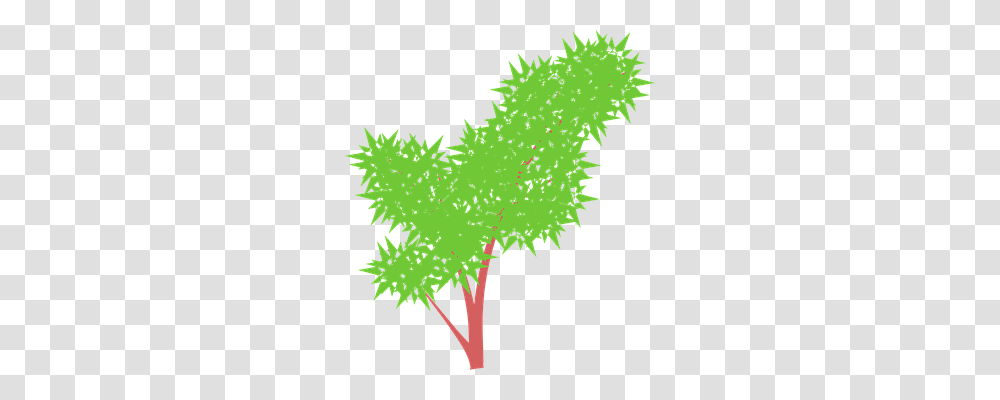 Bush Nature, Leaf, Plant, Tree Transparent Png