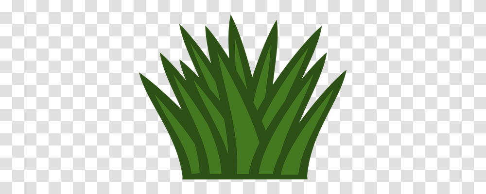 Bush Nature, Plant, Iris, Flower Transparent Png