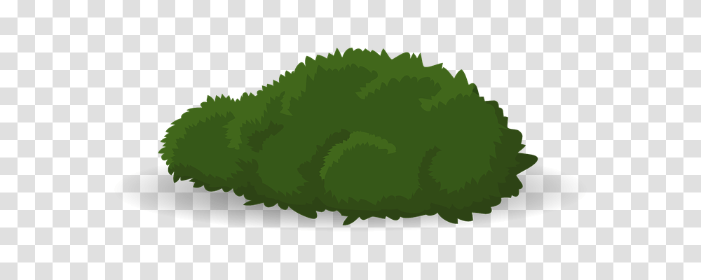 Bush Nature, Plant, Vegetation, Green Transparent Png