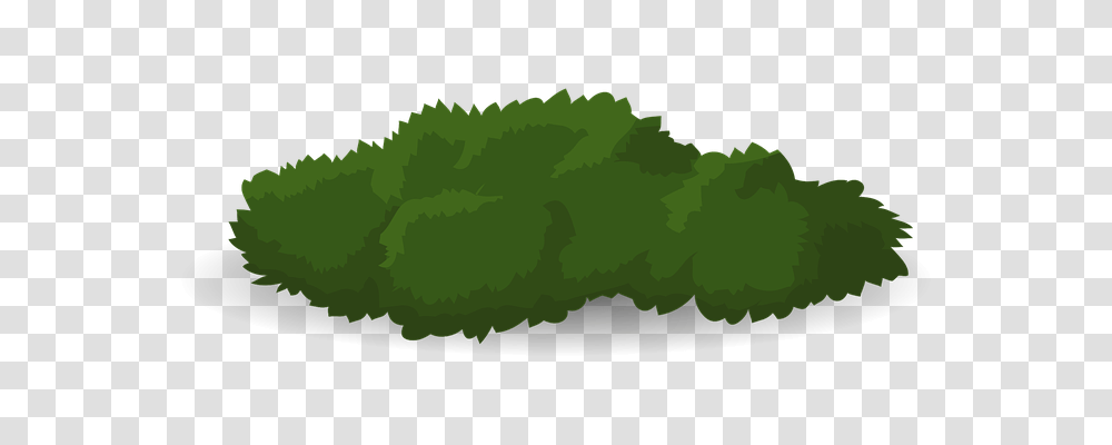 Bush Nature, Green, Plant, Leaf Transparent Png