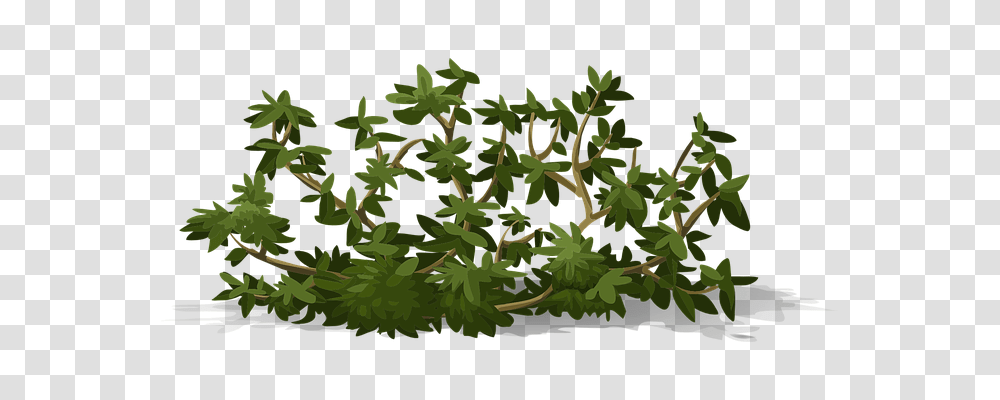 Bush Nature, Leaf, Plant, Vegetation Transparent Png