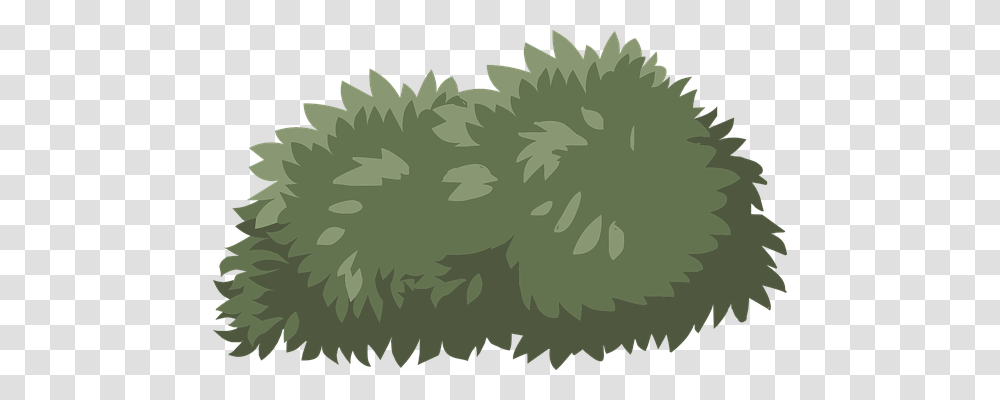 Bush Nature, Plant, Tree, Green Transparent Png