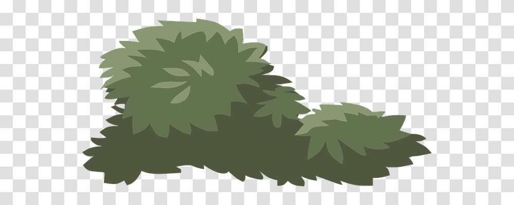 Bush Nature, Green, Plant, Leaf Transparent Png