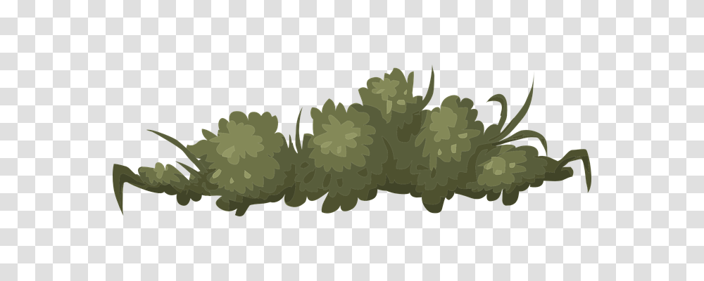 Bush Nature, Plant, Fruit, Food Transparent Png