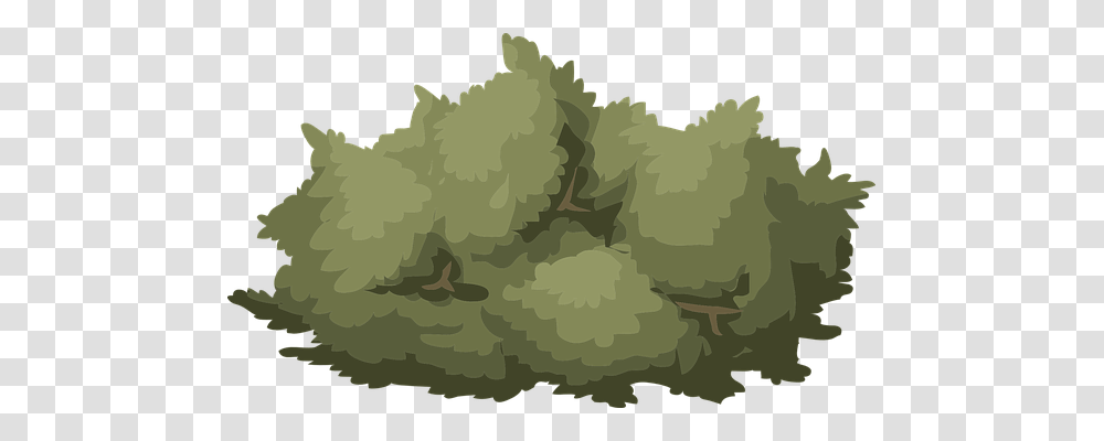 Bush Nature, Military Uniform, Tree, Plant Transparent Png