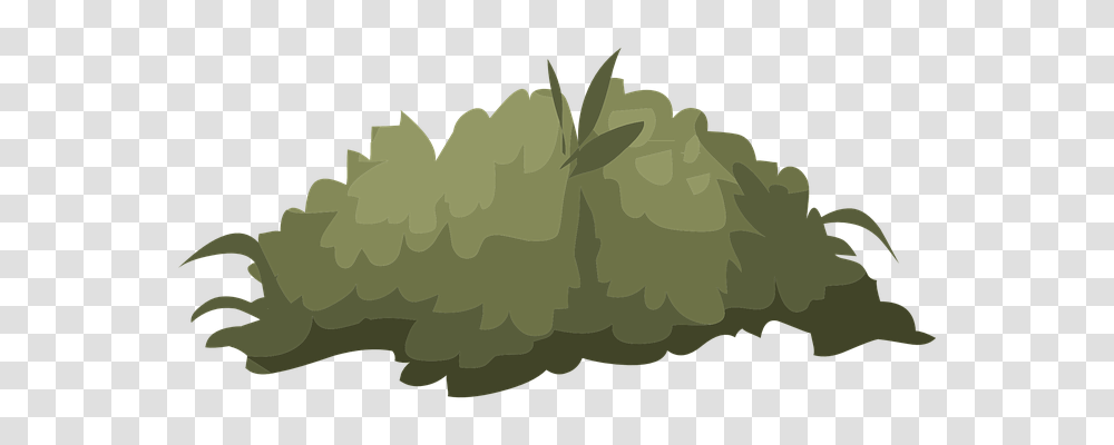 Bush Nature, Green, Plant, Tree Transparent Png