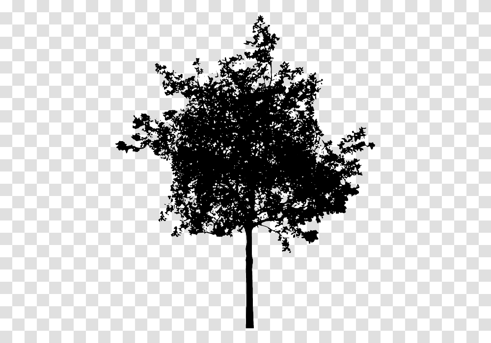 Bush Black And White Plus Small Tree Silhouette, Plant, Stencil, Oak, Tree Trunk Transparent Png