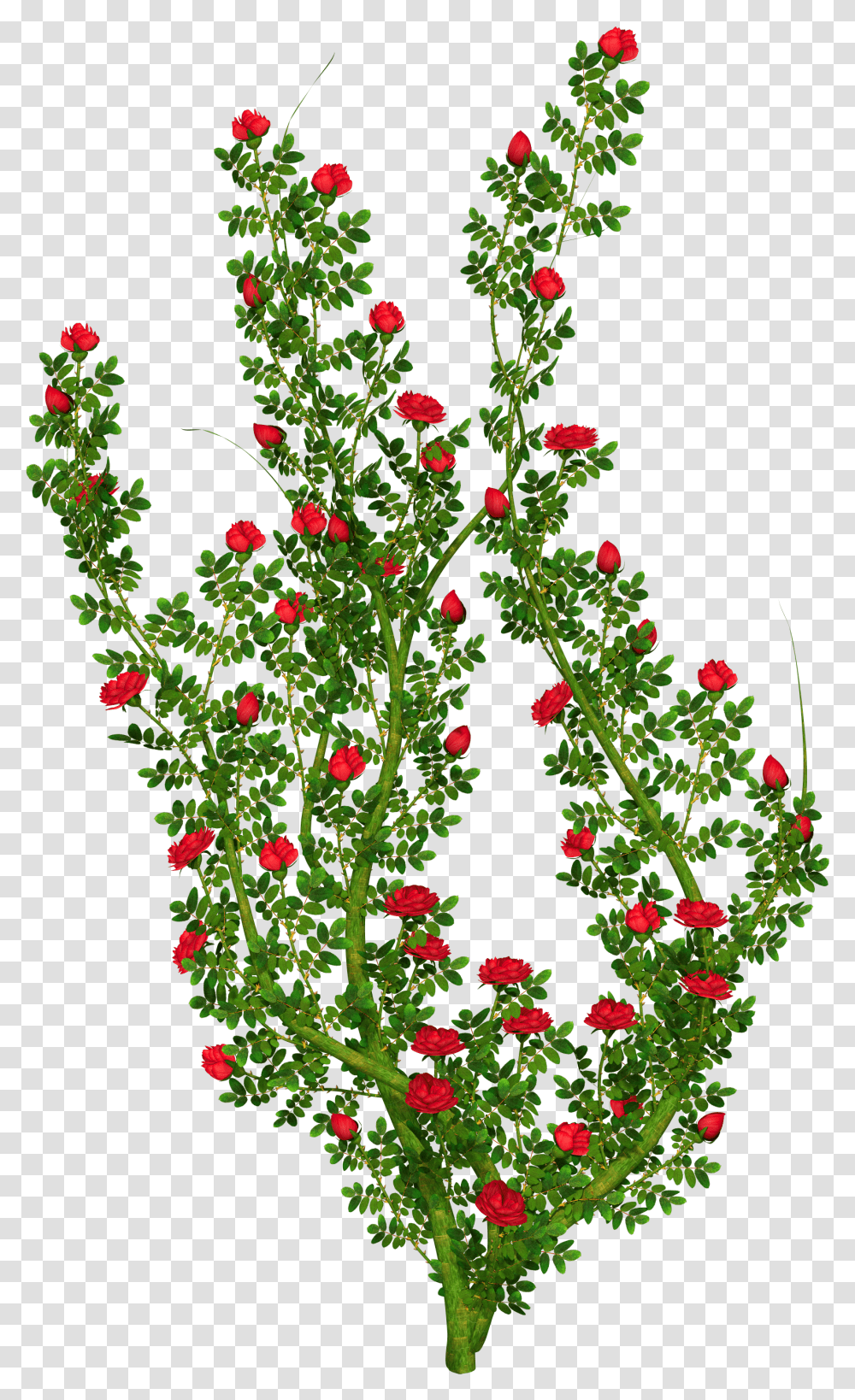Bush Clipart Flower Free For Background Rose Bush Clipart, Floral Design, Pattern, Graphics, Plant Transparent Png