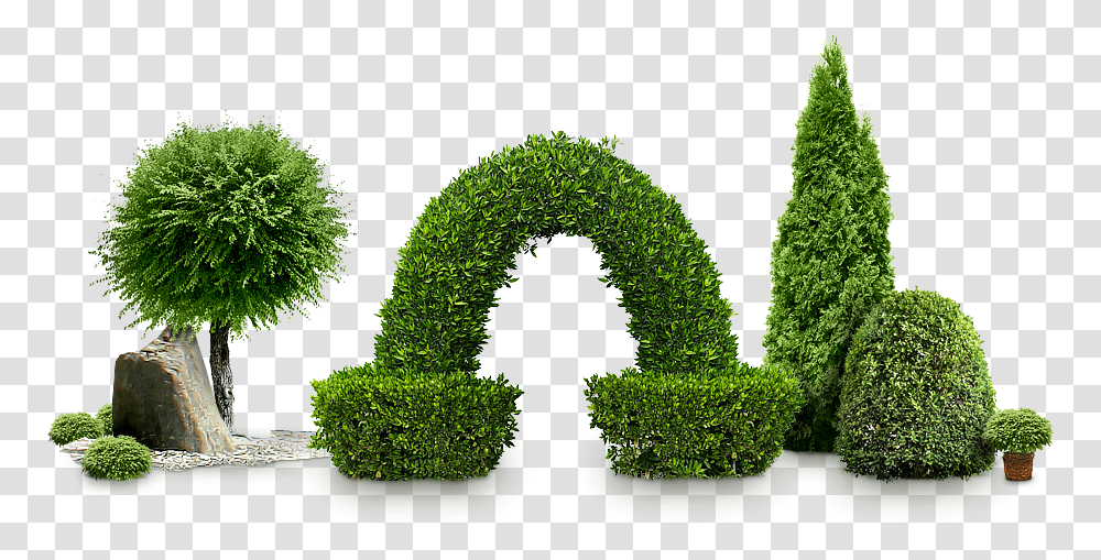 Bush, Nature, Green, Wreath, Plant Transparent Png