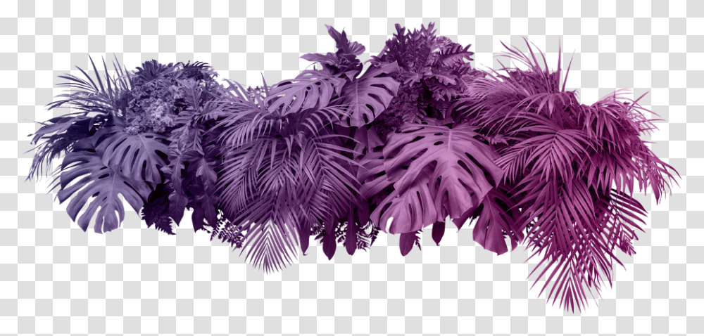Bush Plant White Background, Purple, Pattern, Ornament, Fractal Transparent Png