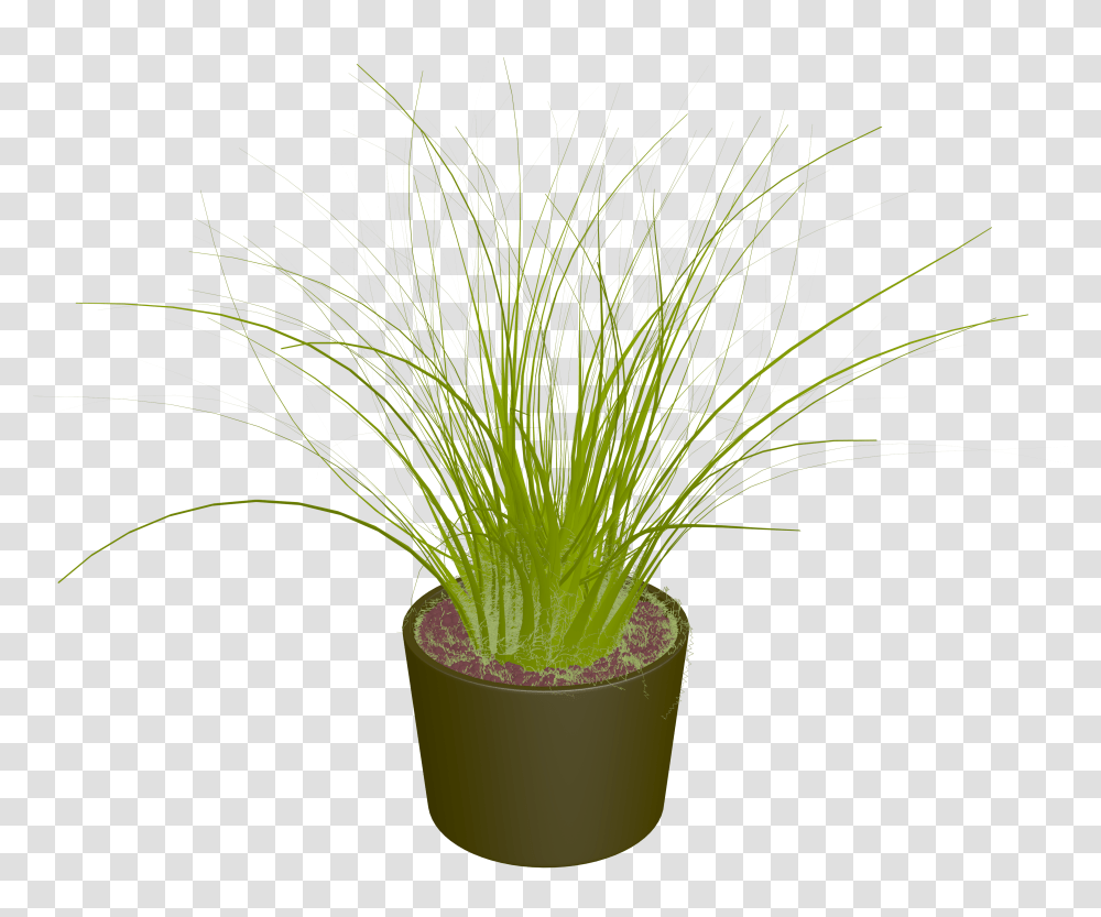 Bush Pot Plant Clipart Picture, Palm Tree, Arecaceae, Leaf, Green Transparent Png