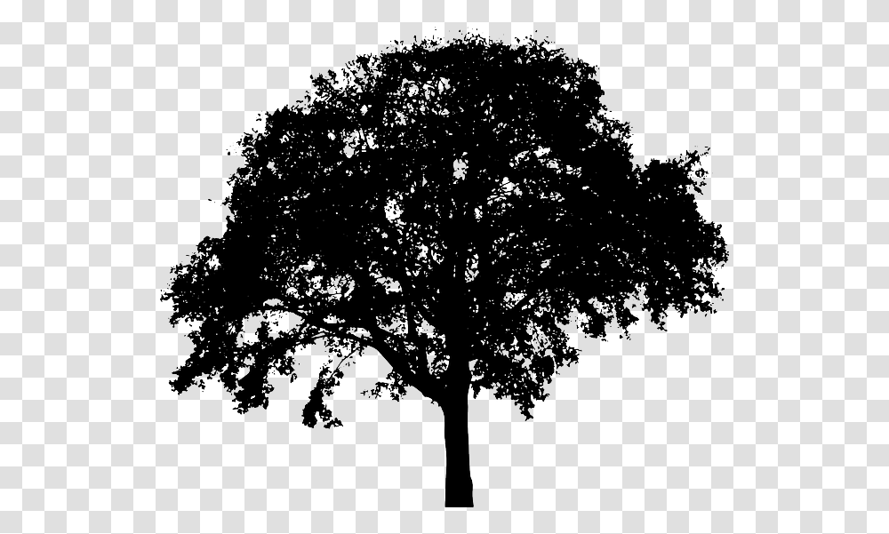 Bush Silhouette Clipart Vector Stock Free Background Tree Silhouette, Plant, Tree Trunk, Stencil, Oak Transparent Png