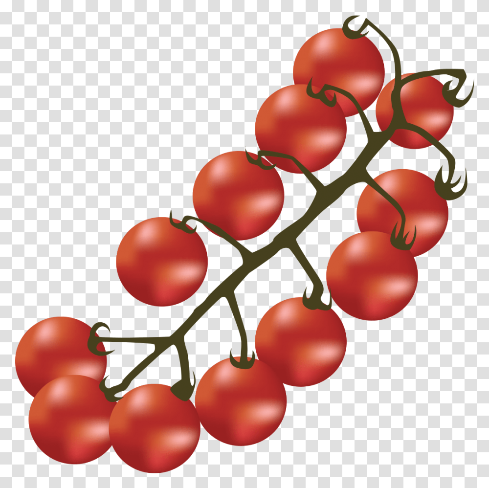 Bush Tomato, Plant, Fruit, Food, Lamp Transparent Png