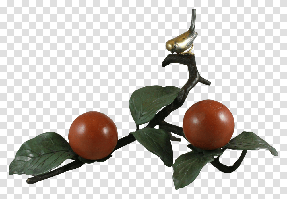 Bush Tomato, Plant, Leaf, Fruit, Food Transparent Png