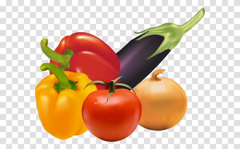 Bush Tomato, Plant, Vegetable, Food, Eggplant Transparent Png