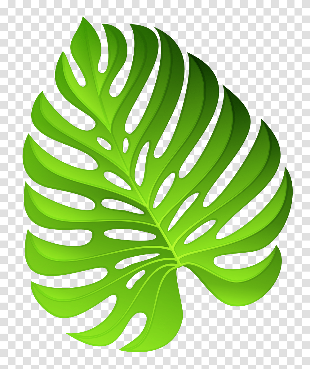 Bushes Clipart Aquarium Plant Transparent Png