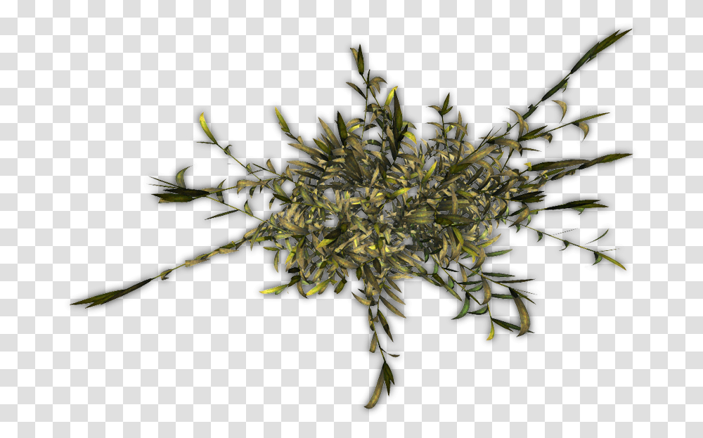 Bushes Flower, Vegetation, Plant, Acanthaceae, Tree Transparent Png