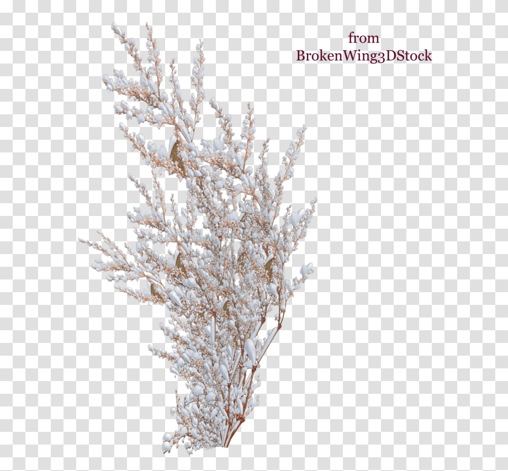 Bushes With Snow, Crystal, Chandelier, Honey Bee Transparent Png