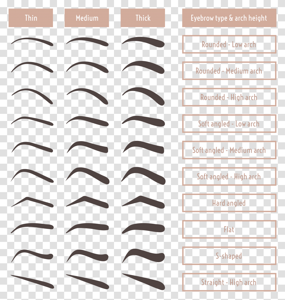 Bushy Eyebrows, Rug, Menu, Cushion Transparent Png