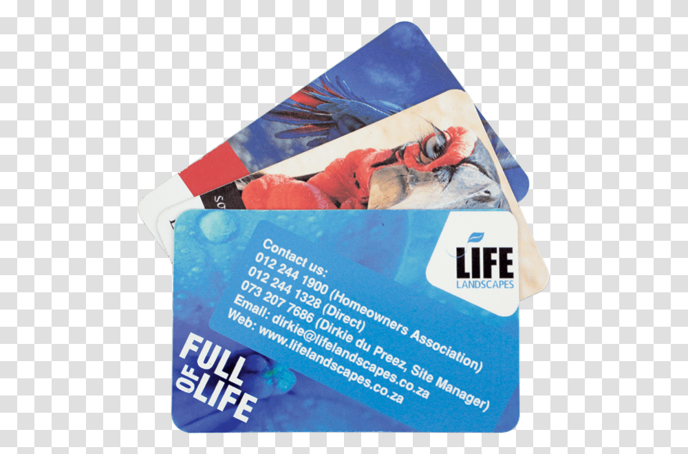 Business Card Fridge Magnet, Poster, Advertisement, Flyer, Paper Transparent Png